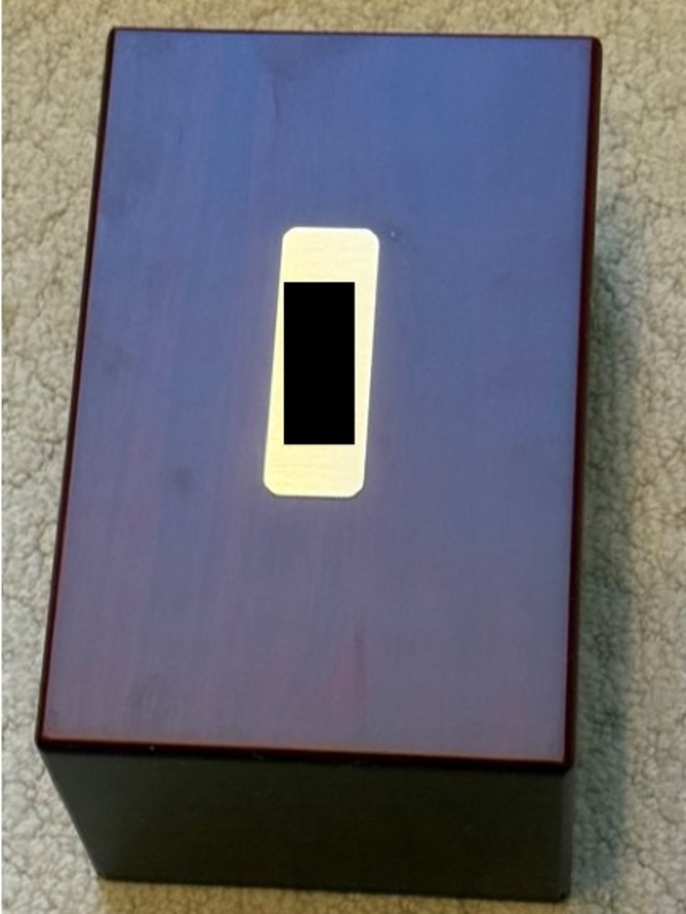 Terrybear Memorial Box for Pet